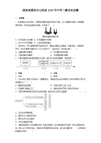 陕西省商洛市山阳县2025年中考二模历史试题（解析版）