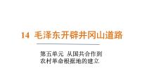 初中历史人教版（2024）八年级上册（2024）第五单元  从国共合作到农村革命根据地的建立第14课  毛泽东开辟井冈山道路备课ppt课件