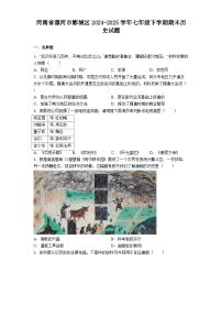 河南省漯河市郾城区2024-2025学年七年级下学期期末历史试题（解析版）