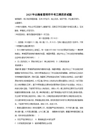 2025年云南省昆明市中考三模历史试卷（解析版）