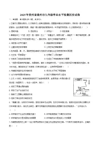 2025年贵州省盘州市九年级学业水平检测历史试卷(解析版)