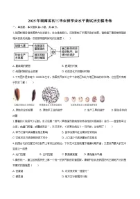 2025年湖南省初三毕业班学业水平测试历史模考卷（含答案）