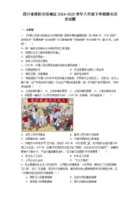 四川省绵阳市涪城区2024-2025学年八年级下学期期末历史试题（含答案）