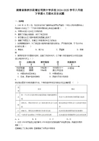 湖南省株洲市荷塘区明照中学多校2024-2025学年八年级下学期6月期末历史试题（含答案）