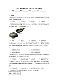 2025年新疆维吾尔自治区中考历史真题（附答案解析）