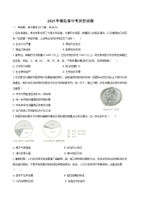 2025年湖北省中考历史试卷（含解析）