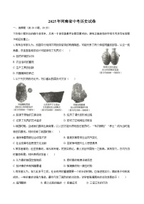 2025年河南省中考历史试卷（含解析）