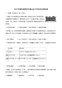 2025年湖北省武汉市青山区中考历史五调试卷（含答案）