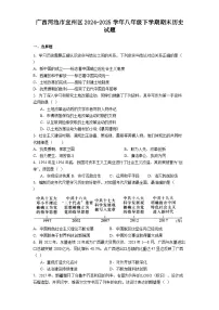 广西河池市宜州区2024-2025学年八年级下学期期末历史试题（解析版）