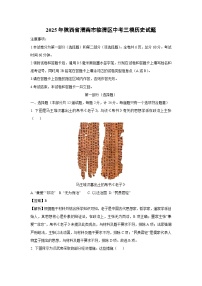 2025年陕西省渭南市临渭区中考三模历史试卷（解析版）