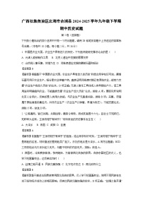 广西壮族自治区北海市合浦县2024-2025学年九年级下学期期中历史试卷（解析版）