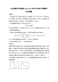 山东省临沂市莒南县2024-2025学年七年级下学期期中历史试卷（解析版）