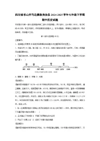四川省乐山市马边彝族自治县2024-2025学年七年级下学期期中历史试卷（解析版）