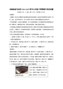 河南省驻马店市2024-2025学年七年级下学期期中历史试卷（解析版）