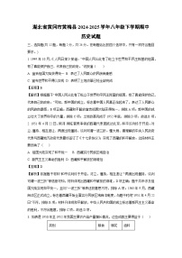 湖北省黄冈市黄梅县2024-2025学年八年级下学期期中历史试卷（解析版）