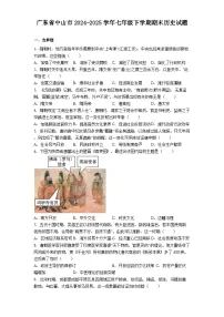 广东省中山市2024-2025学年七年级下学期期末历史试题（解析版）