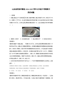 山东省菏泽市曹县2024-2025学年七年级下学期期中历史试卷（解析版）