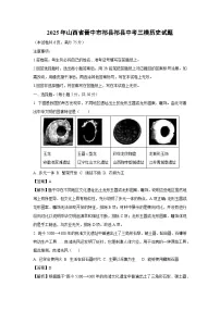 2025年山西省晋中市祁县祁县中考三模历史试卷（解析版）