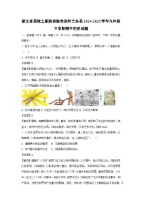 湖北省恩施土家族苗族自治州巴东县2024-2025学年九年级下学期期中历史试卷（解析版）