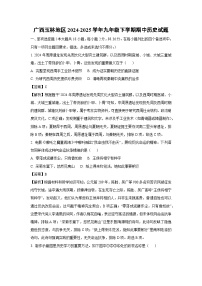 广西玉林地区2024-2025学年九年级下学期期中历史试卷（解析版）