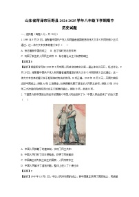 山东省菏泽市巨野县2024-2025学年八年级下学期期中历史试卷（解析版）