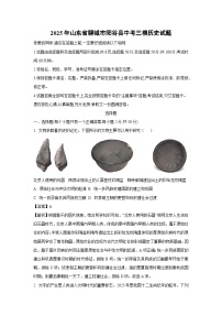 2025年山东省聊城市阳谷县中考三模历史试卷（解析版）