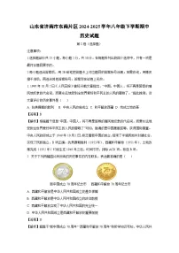 山东省济南市东南片区2024-2025学年八年级下学期期中历史试卷（解析版）