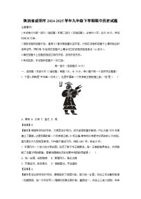 陕西省咸阳市2024-2025学年九年级下学期期中历史试卷（解析版）