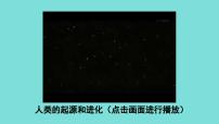 初中历史远古时期的人类活动背景图课件ppt
