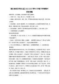 湖北省武汉市洪山区2024-2025学年八年级下学期期中历史试卷（解析版）
