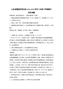 山东省聊城市阳谷县2024-2025学年八年级下学期期中历史试卷（解析版）