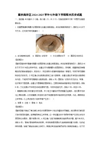 重庆南岸区2024-2025学年七年级下学期期末 历史试卷（解析版）
