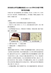 四川省乐山市马边彝族自治县2024-2025学年九年级下学期期中真题历史试卷（解析版）