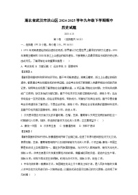 湖北省武汉市洪山区2024-2025学年九年级下学期期中真题历史试卷（解析版）