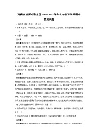 河南省洛阳市洛龙区2024-2025学年七年级下学期期中真题历史试卷（解析版）