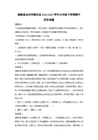 湖南省永州市新田县2024-2025学年九年级下学期期中真题历史试卷（解析版）