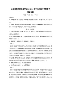 山东省潍坊市诸城市2024-2025学年七年级下学期期中真题历史试卷（解析版）