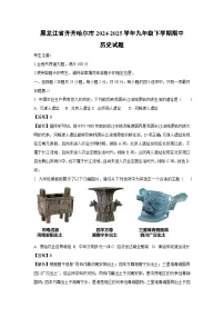 黑龙江省齐齐哈尔市2024-2025学年九年级下学期期中历史试卷（解析版）