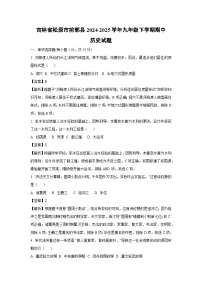 吉林省松原市前郭县2024-2025学年九年级下学期期中历史试卷（解析版）