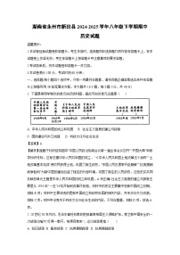湖南省永州市新田县2024-2025学年八年级下学期期中历史试卷（解析版）