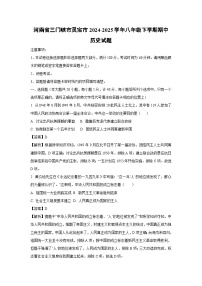 河南省三门峡市灵宝市2024-2025学年八年级下学期期中历史试卷（解析版）