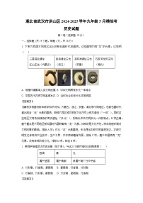 湖北省武汉市洪山区2024-2025学年九年级下5月模拟考历史试卷（解析版）