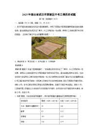 2025年湖北省武汉市黄陂区中考三模历史试卷（解析版）