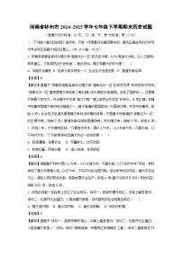 【历史】河南省林州市2024~2025学年七年级下学期期末试题（解析版）