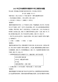2025年辽宁省朝阳市凌源市中考三模历史试卷（解析版）