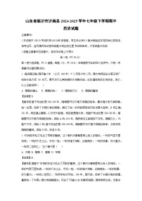 【历史】山东省临沂市沂南县2024-2025学年七年级下学期期中试题（解析版）