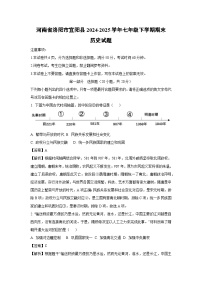 【历史】河南省洛阳市宜阳县2024-2025学年七年级下学期期末试题（解析版）