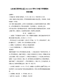 【历史】山东省日照市岚山区2024-2025学年八年级下学期期末试题（解析版）