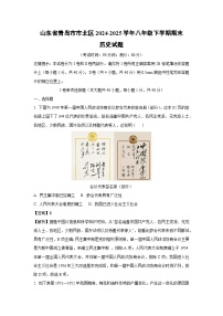 【历史】山东省青岛市市北区2024-2025学年八年级下学期期末试题（解析版）