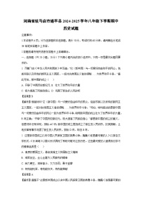 【历史】河南省驻马店市遂平县2024-2025学年八年级下学期期中试题（解析版）